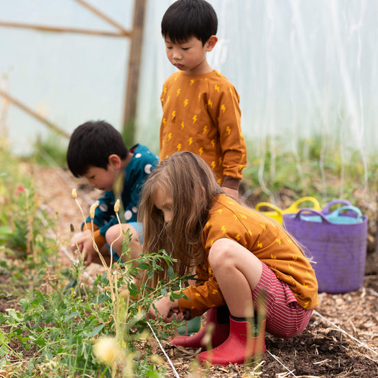 Lightning Raglan Sweatshirt Gold / 18-24m