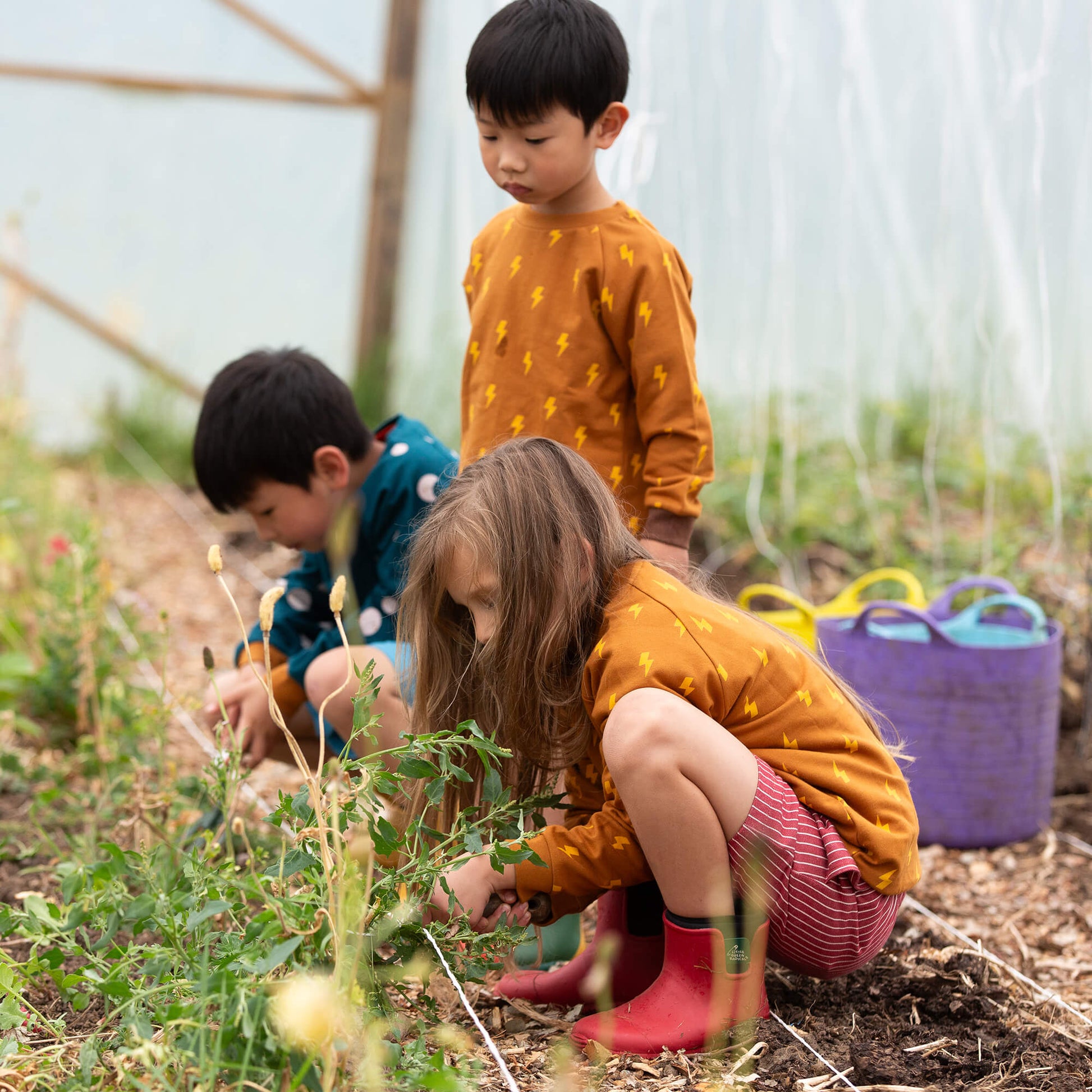 Lightning Raglan Sweatshirt Gold / 18-24m