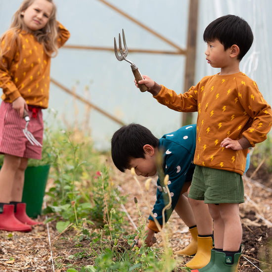 Lightning Raglan Sweatshirt Gold / 18-24m