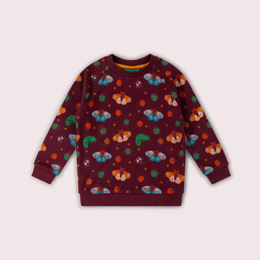 Chestnut Extraordinary Sweatshirt