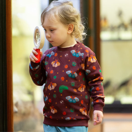 Chestnut Extraordinary Sweatshirt