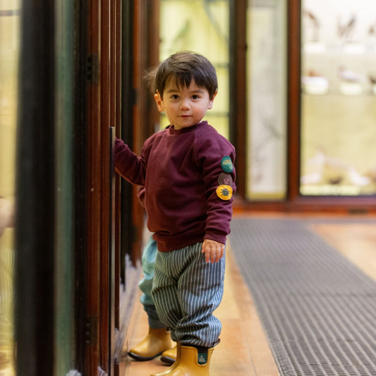 Chestnut Extraordinary Badge Sweatshirt