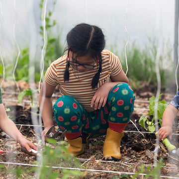 Apple Picking Organic Comfy Joggers Blue / 18-24m