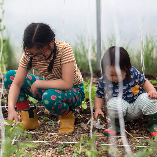 Apple Picking Organic Comfy Joggers Blue / 18-24m