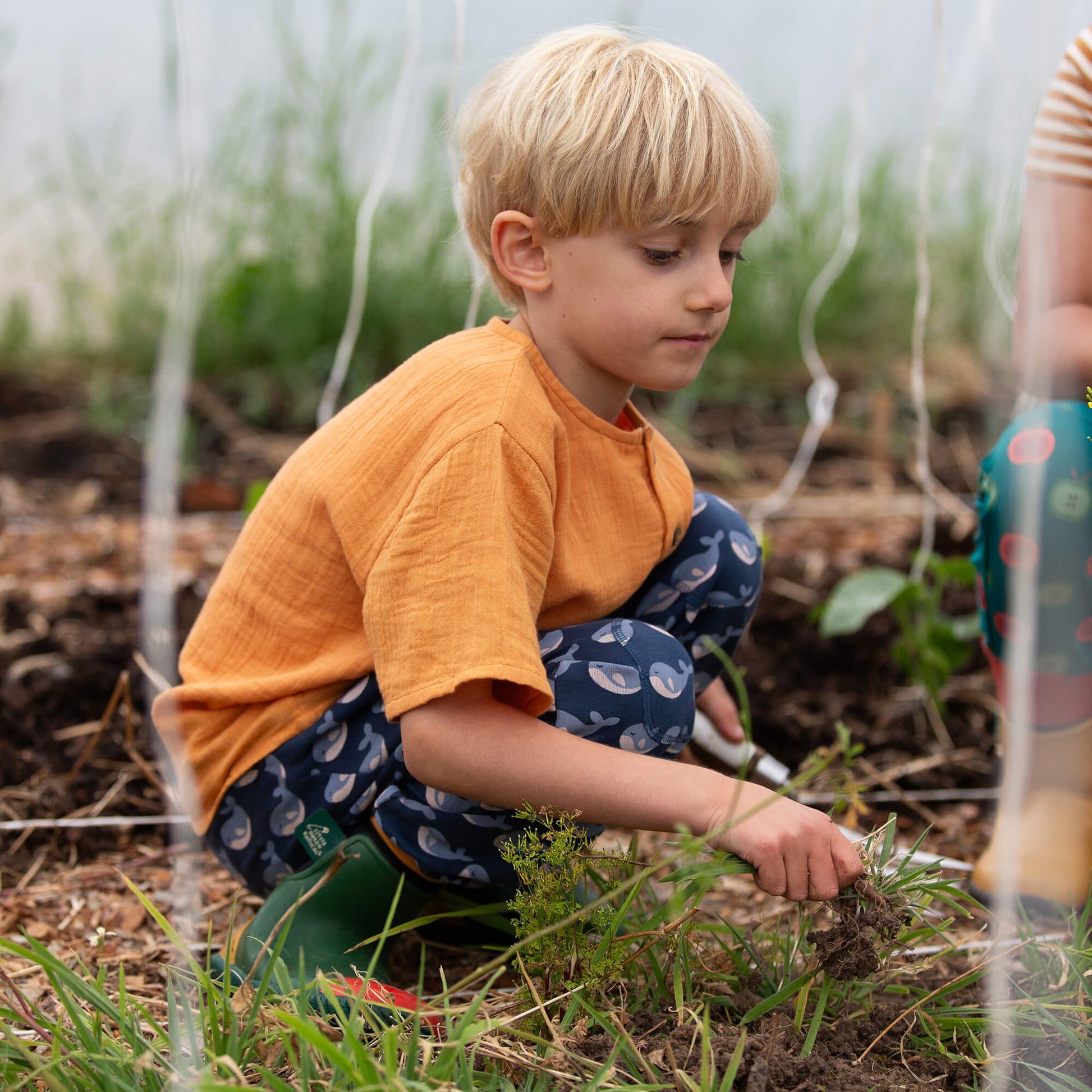 Singing Whales Organic Comfy Joggers Blue / 18-24m