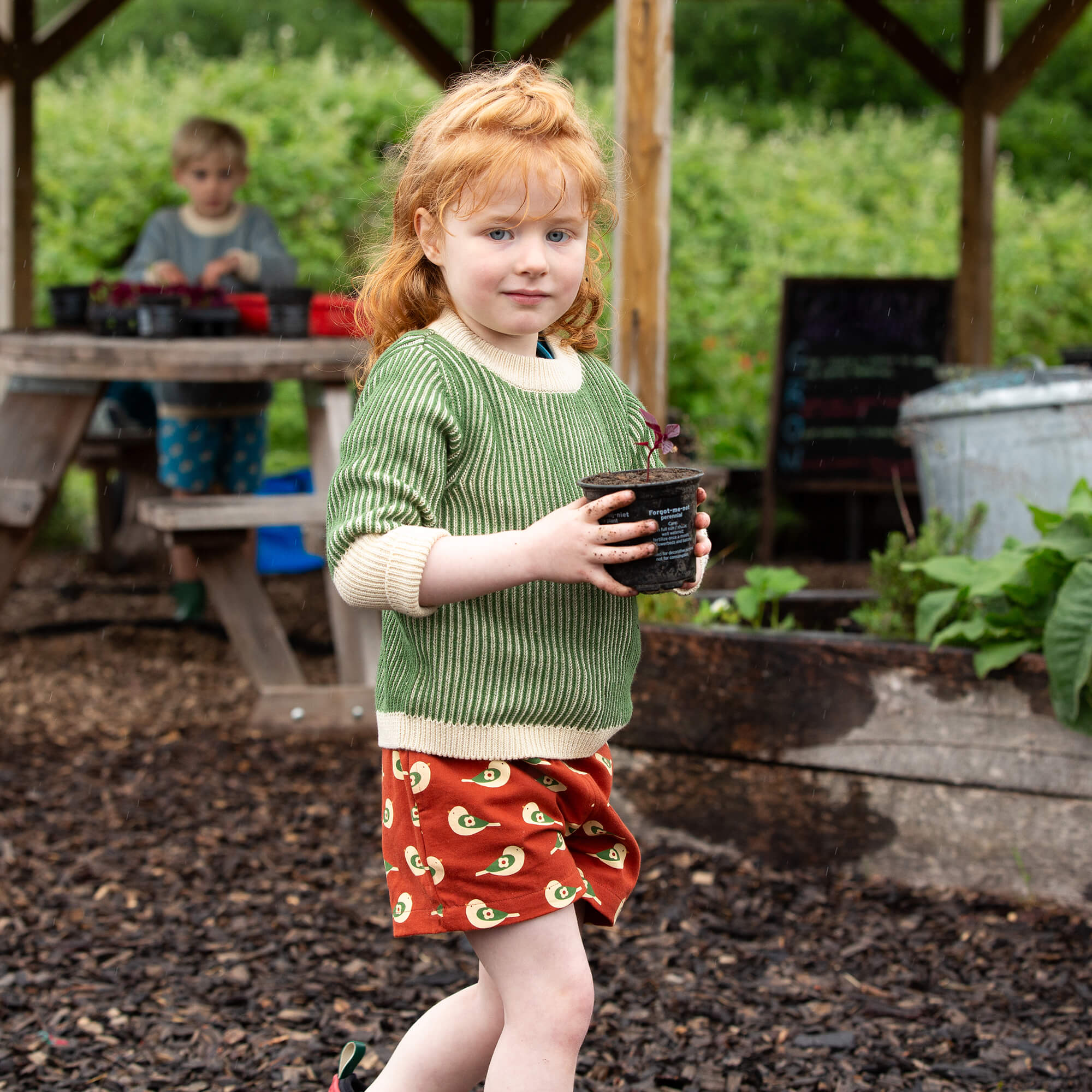 Spring Birds By The Sea Shorts Red / 18-24m