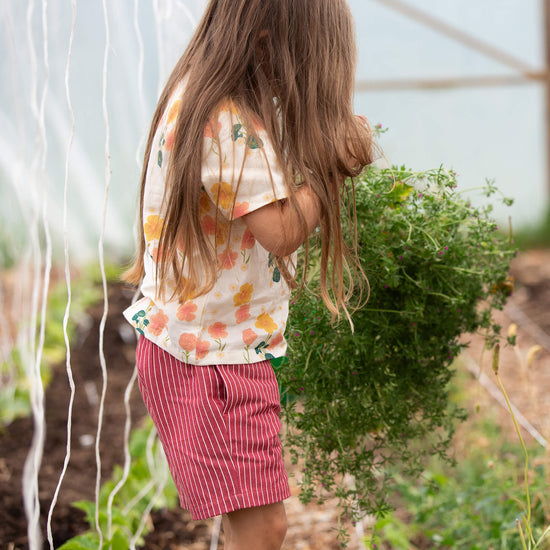 Burnt Ochre Striped By The Sea Twill Shorts Red / 18-24m