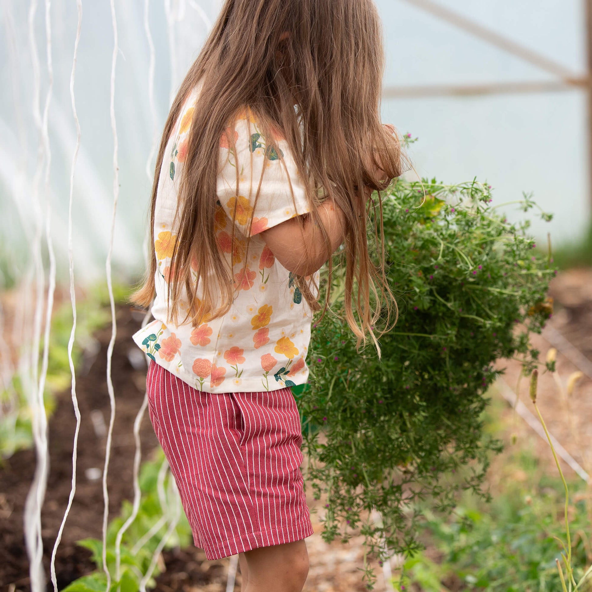 Burnt Ochre Striped By The Sea Twill Shorts Red / 18-24m