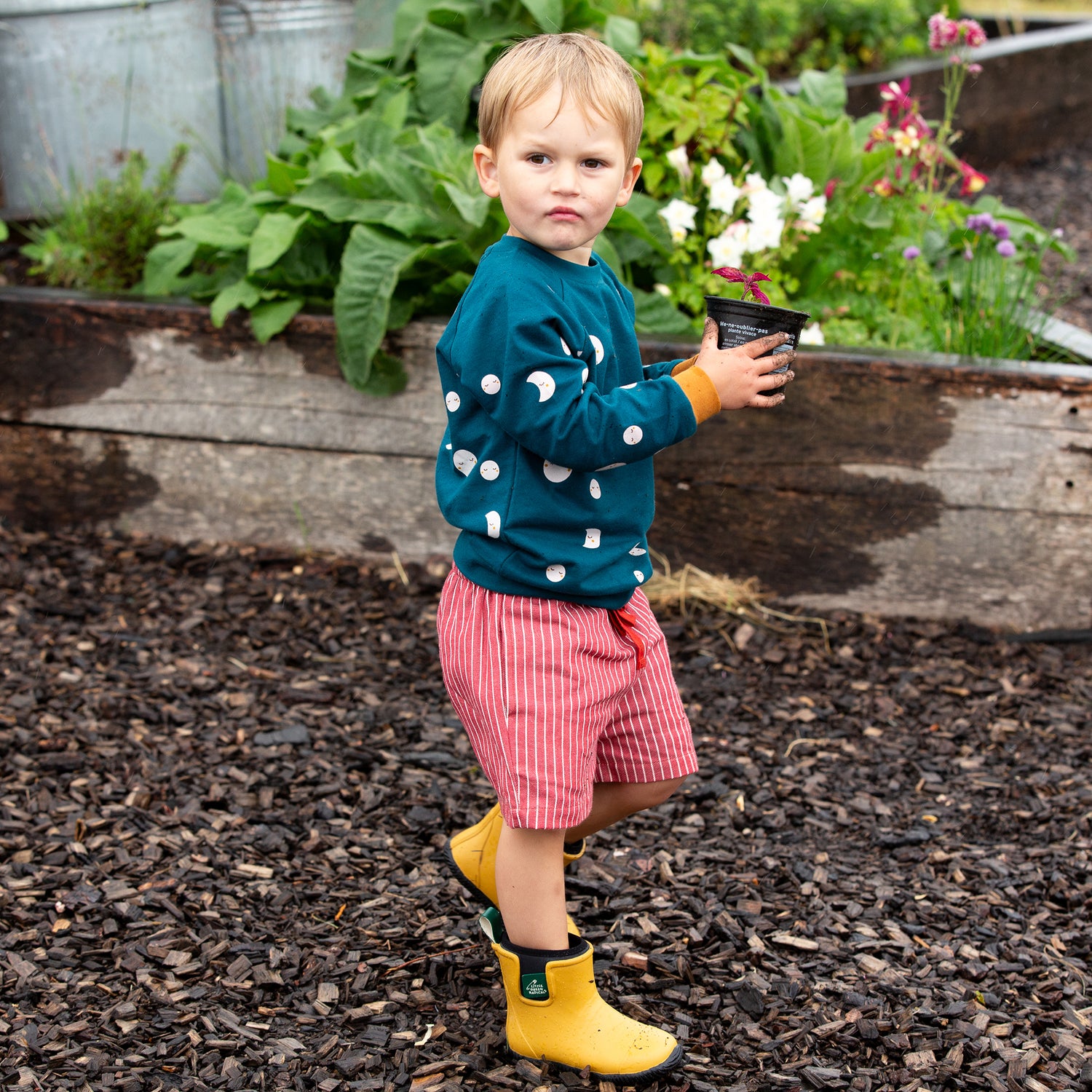 Shop new organic twill