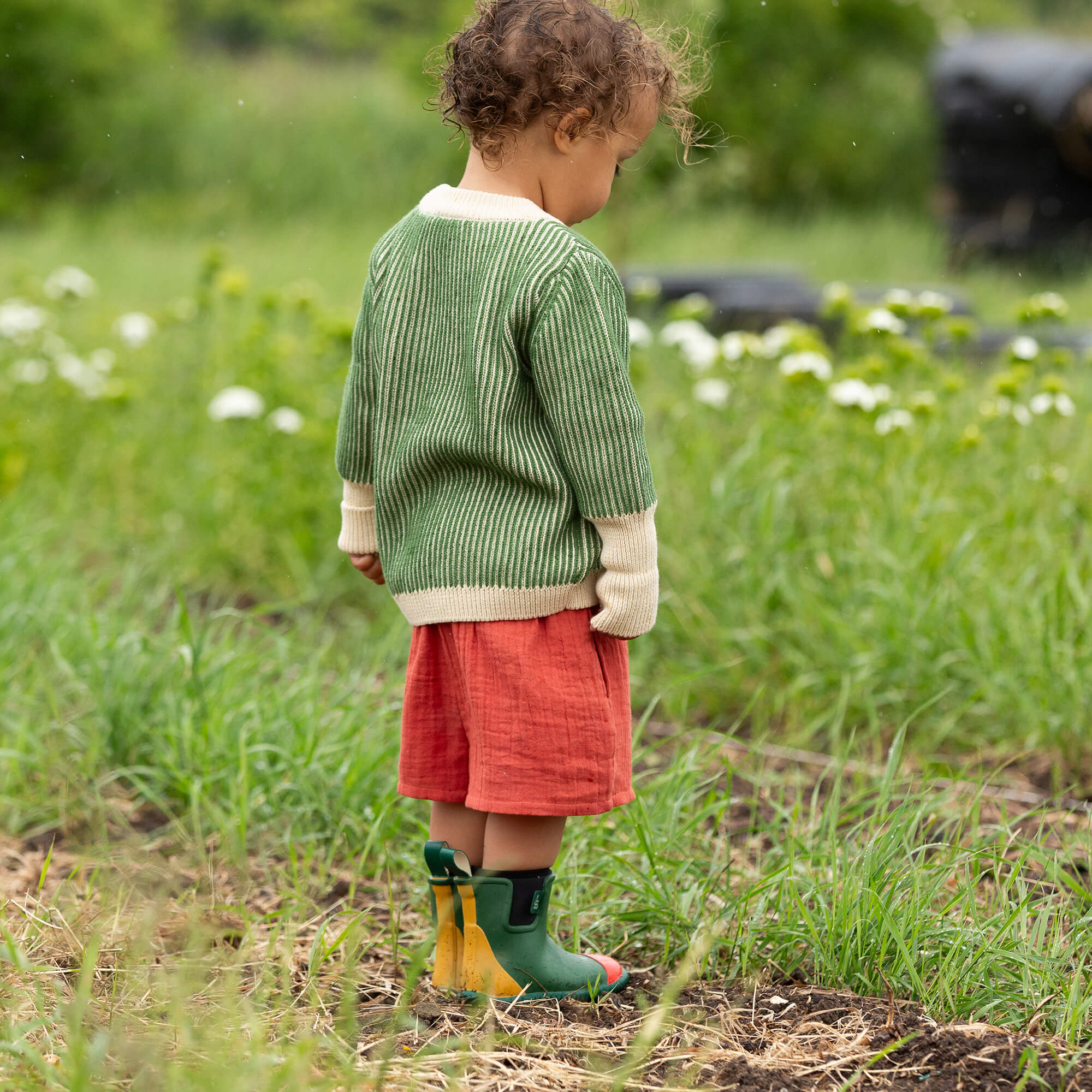 Burnt Ochre By The Sea Shorts Red / 18-24m