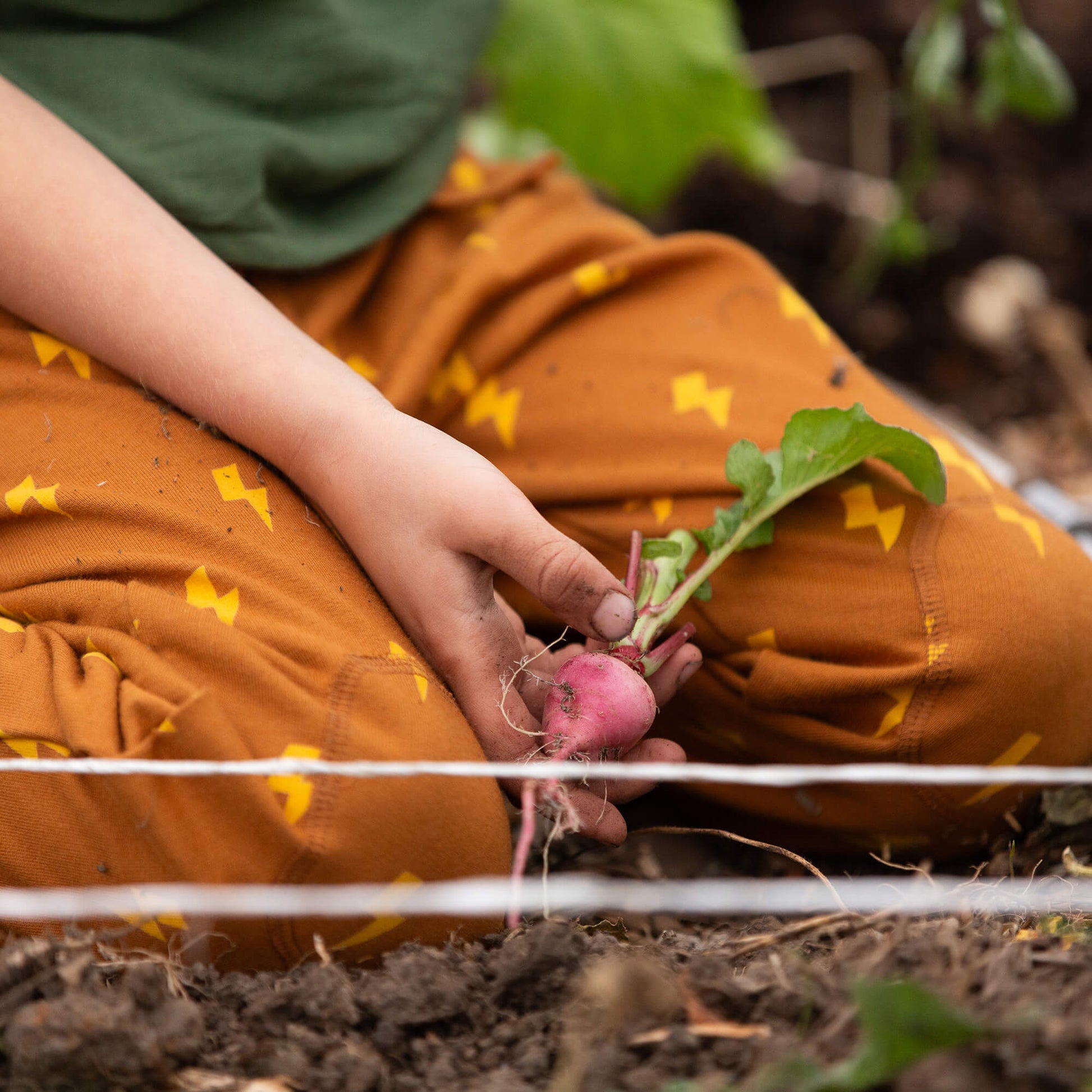 Lightning Organic Cosy Joggers Gold / 18-24m