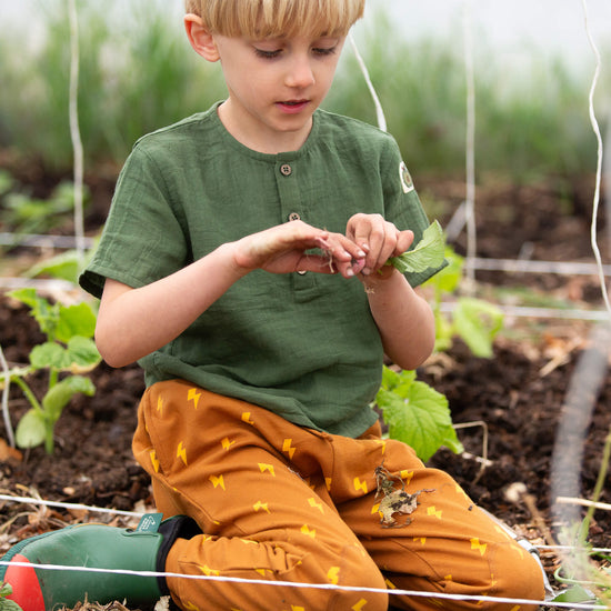Lightning Organic Cosy Joggers Gold / 18-24m