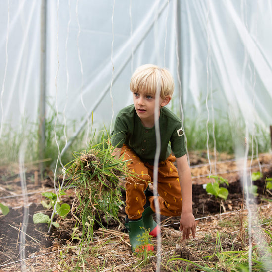 Lightning Organic Cosy Joggers Gold / 18-24m