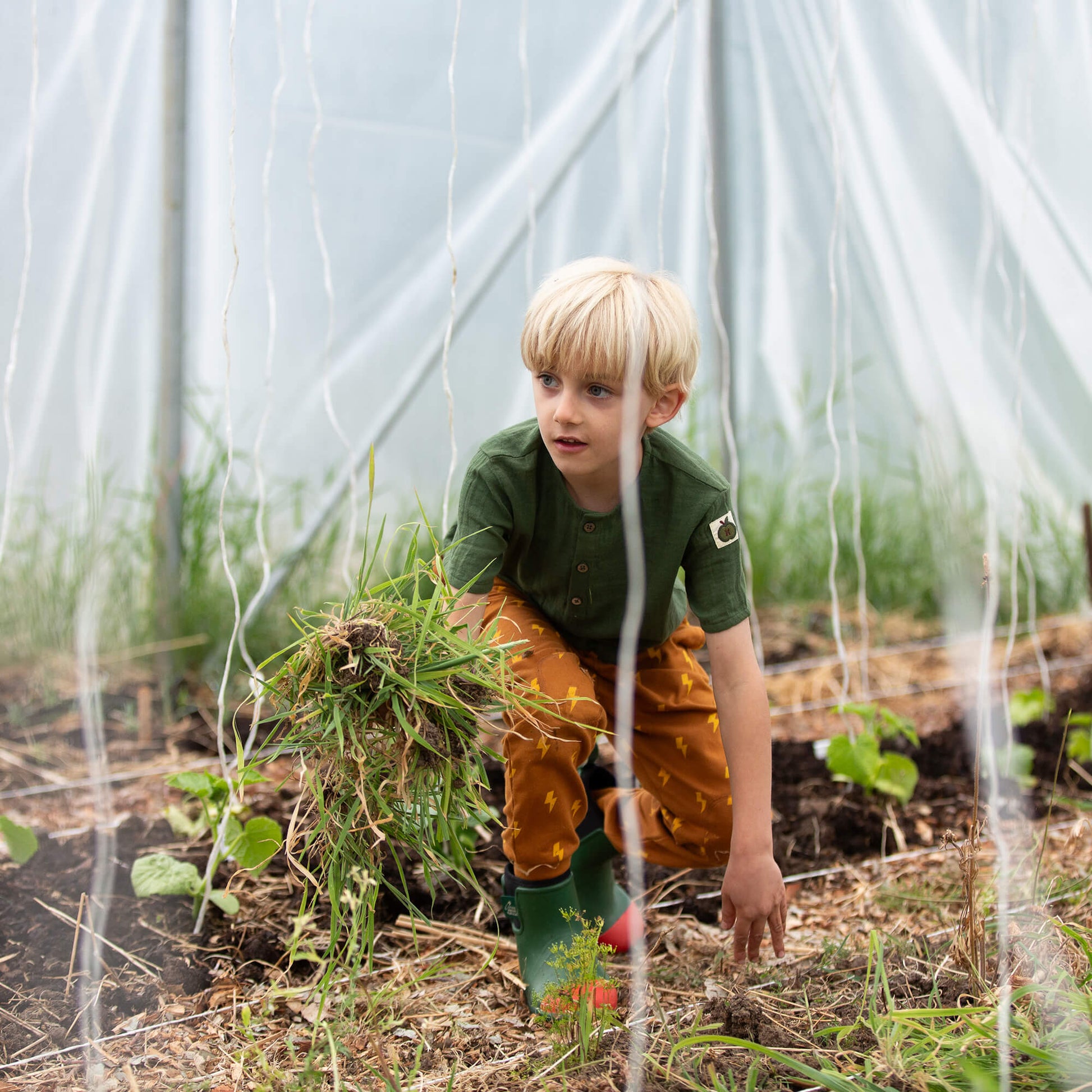 Lightning Organic Cosy Joggers Gold / 18-24m