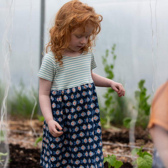 Little Fish Easy Peasy Summer Dress Blue / 18-24m