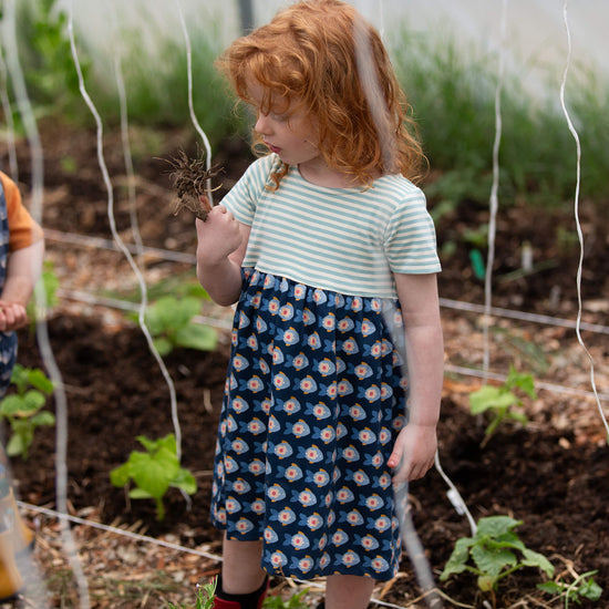Little Fish Easy Peasy Summer Dress Blue / 18-24m