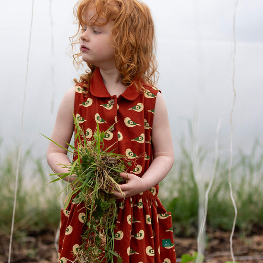 Spring Birds Pinafore Button Dress Red / 18-24m