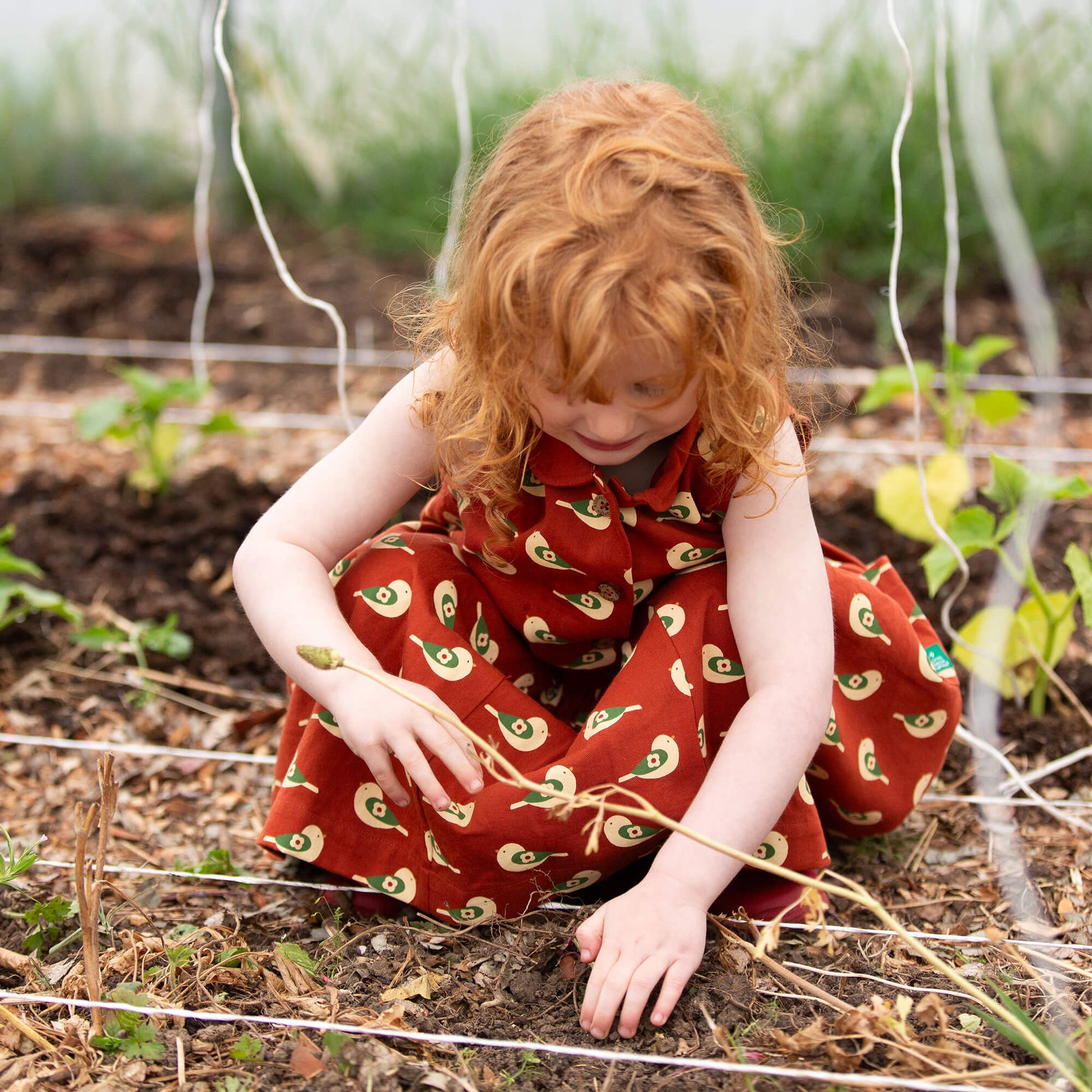 Spring Birds Pinafore Button Dress Red / 18-24m