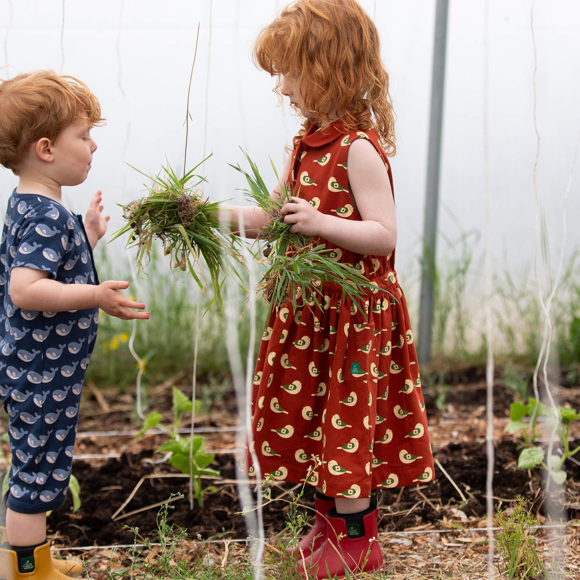 Spring Birds Pinafore Button Dress Red / 18-24m