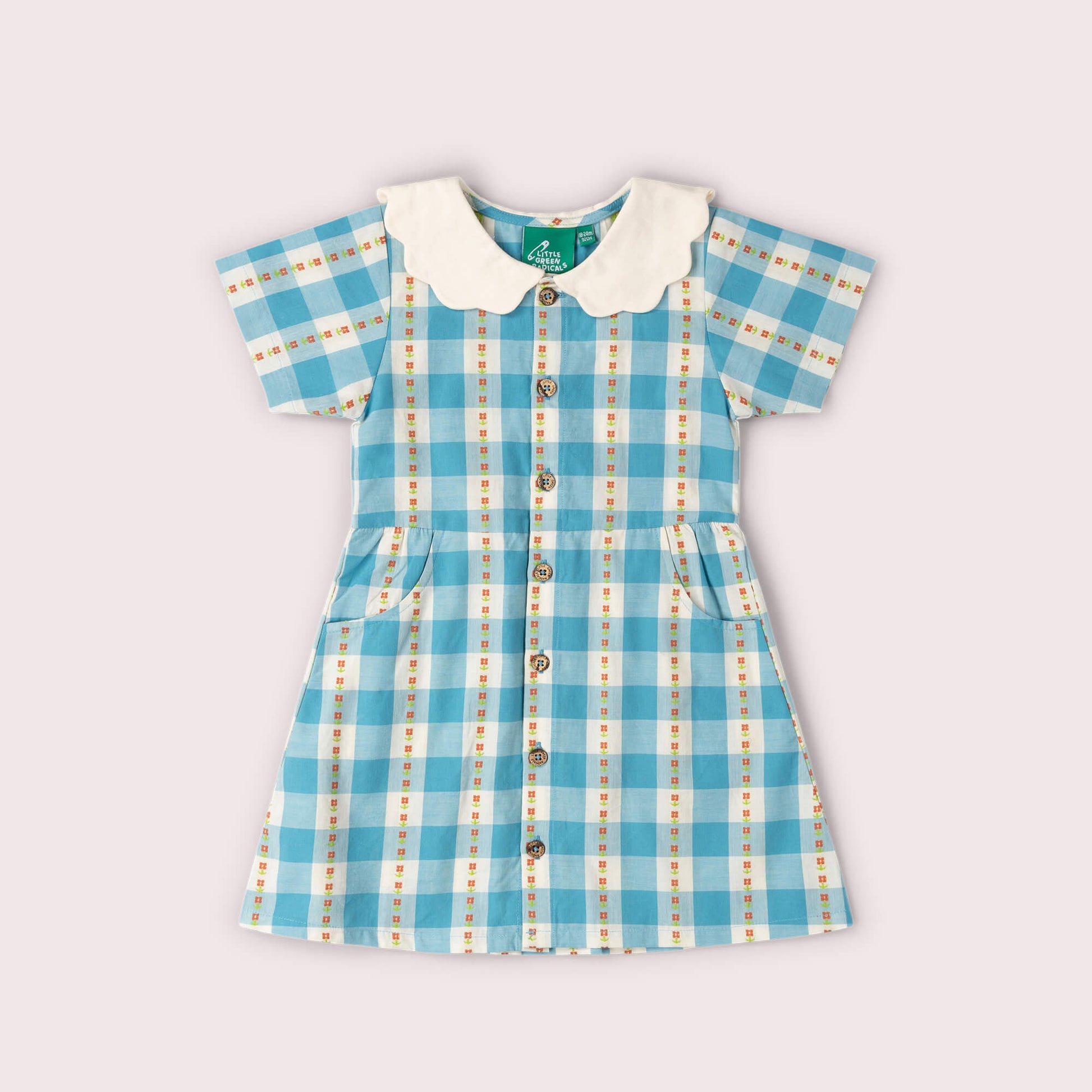 Blue Flowers Button Through Short Sleeve Dress Blue / 18-24m