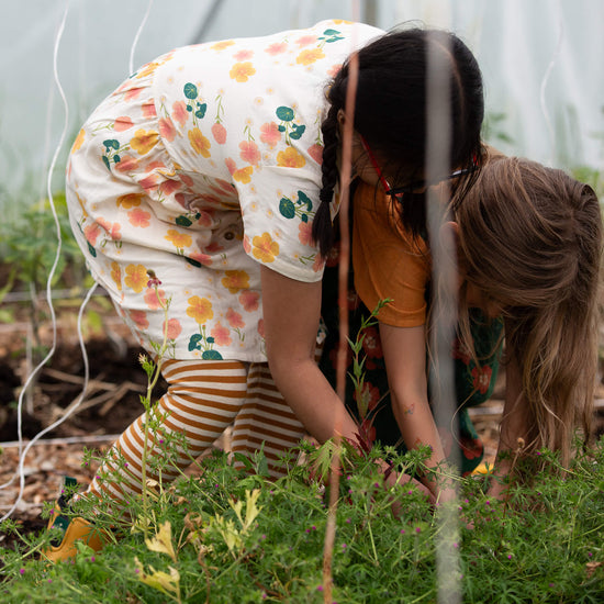 Flora Button Through Short Sleeve Dress Cream / 18-24m