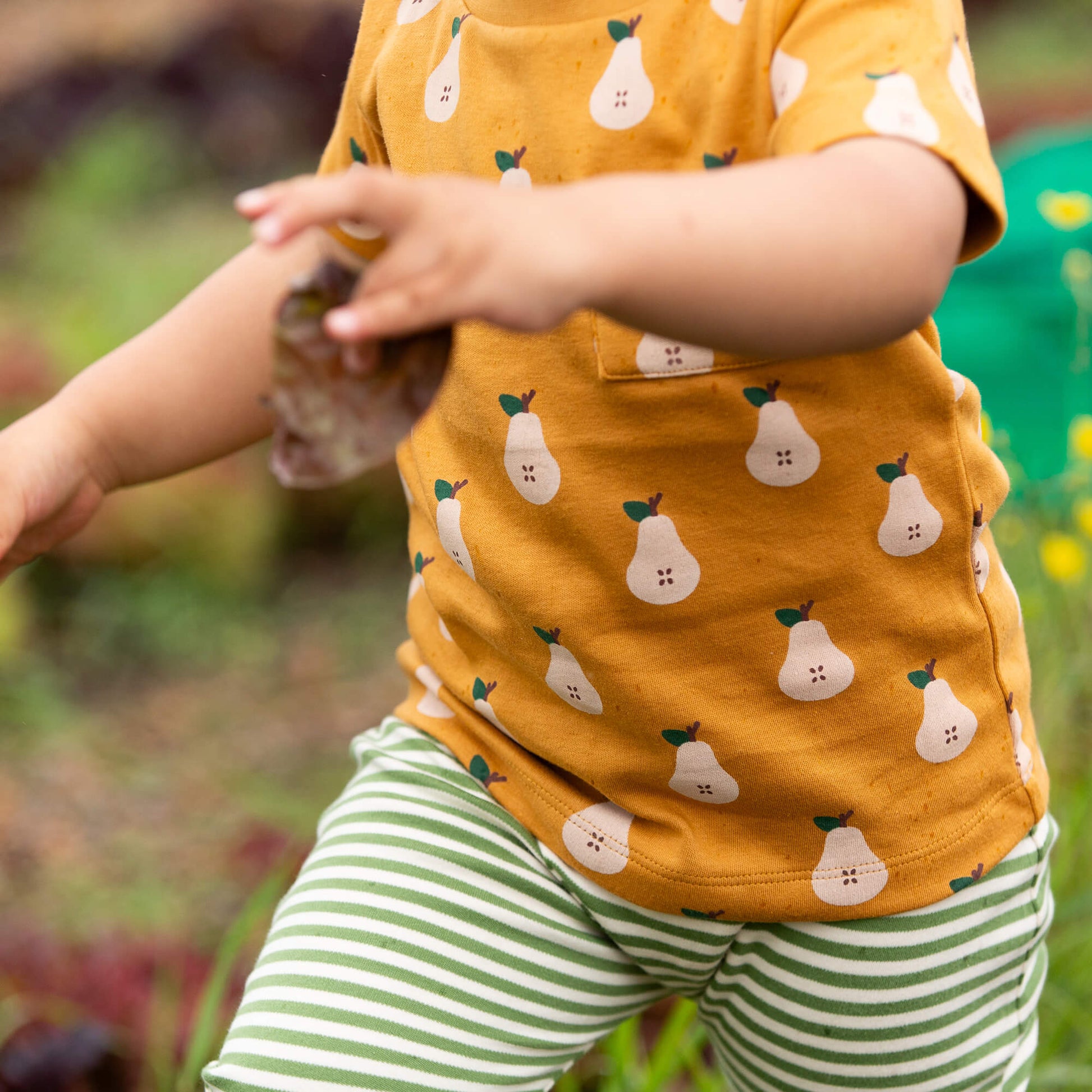 Summer Pears Organic T Shirt & Jogger Playset Gold / 18-24m