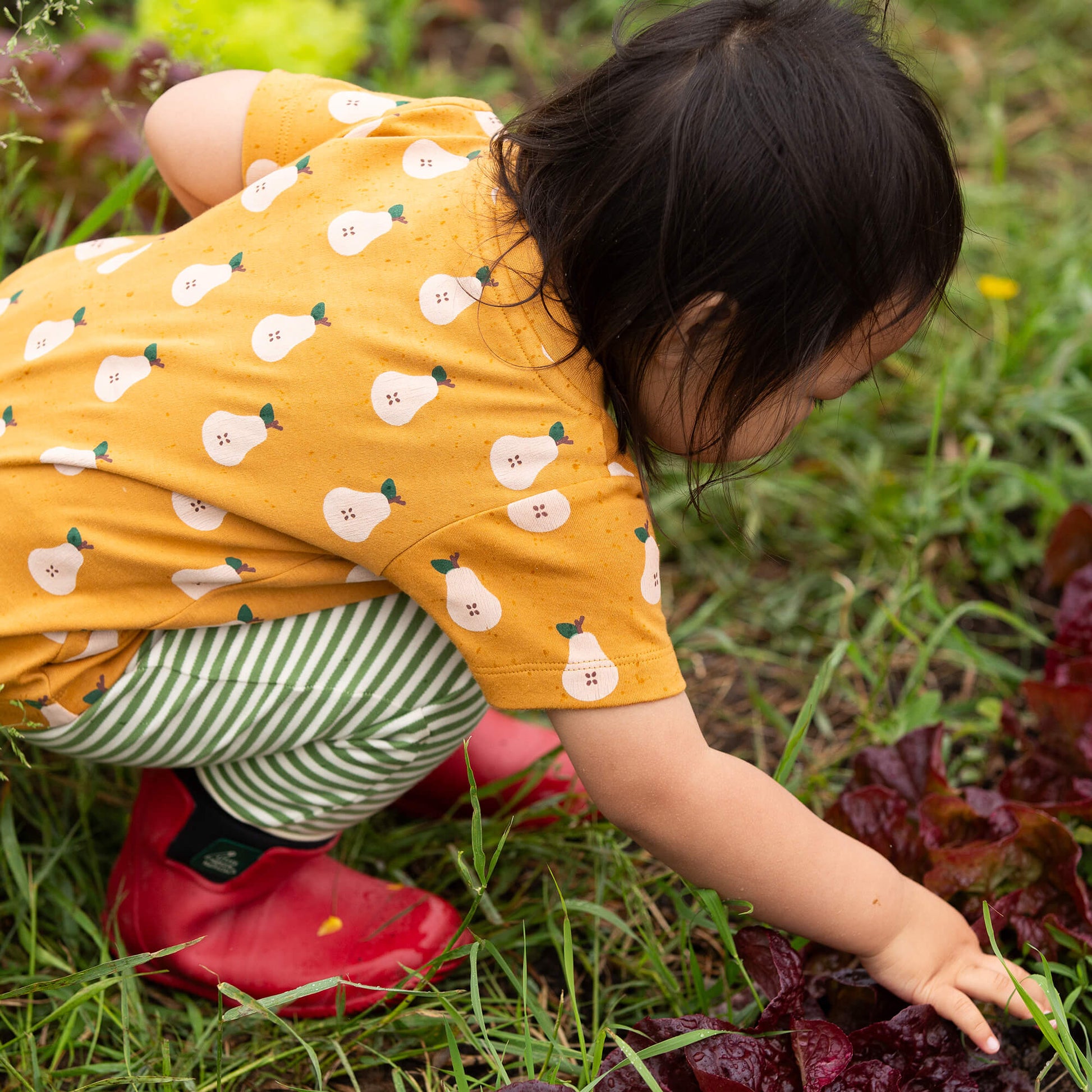 Summer Pears Organic T Shirt & Jogger Playset Gold / 18-24m