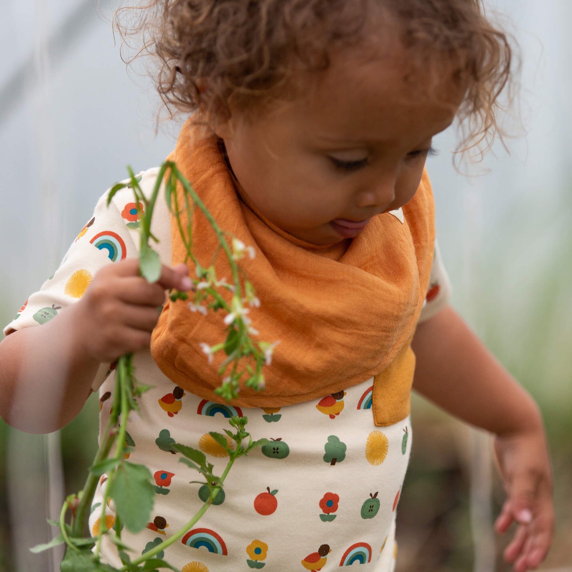 Vintage Rainbows Organic T Shirt & Jogger Playset MULTI / 18-24m