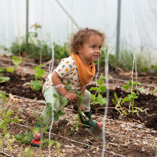 Vintage Rainbows Organic T Shirt & Jogger Playset MULTI / 18-24m