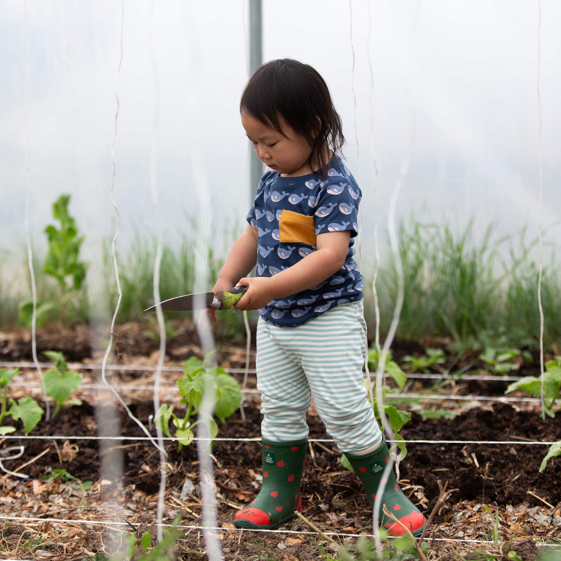 Singing Whales Organic T Shirt & Jogger Playset Blue / 18-24m