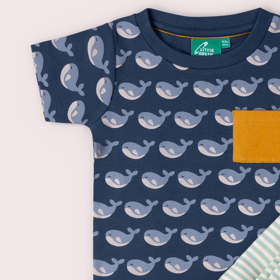 Singing Whales Organic T Shirt & Jogger Playset Blue / 18-24m