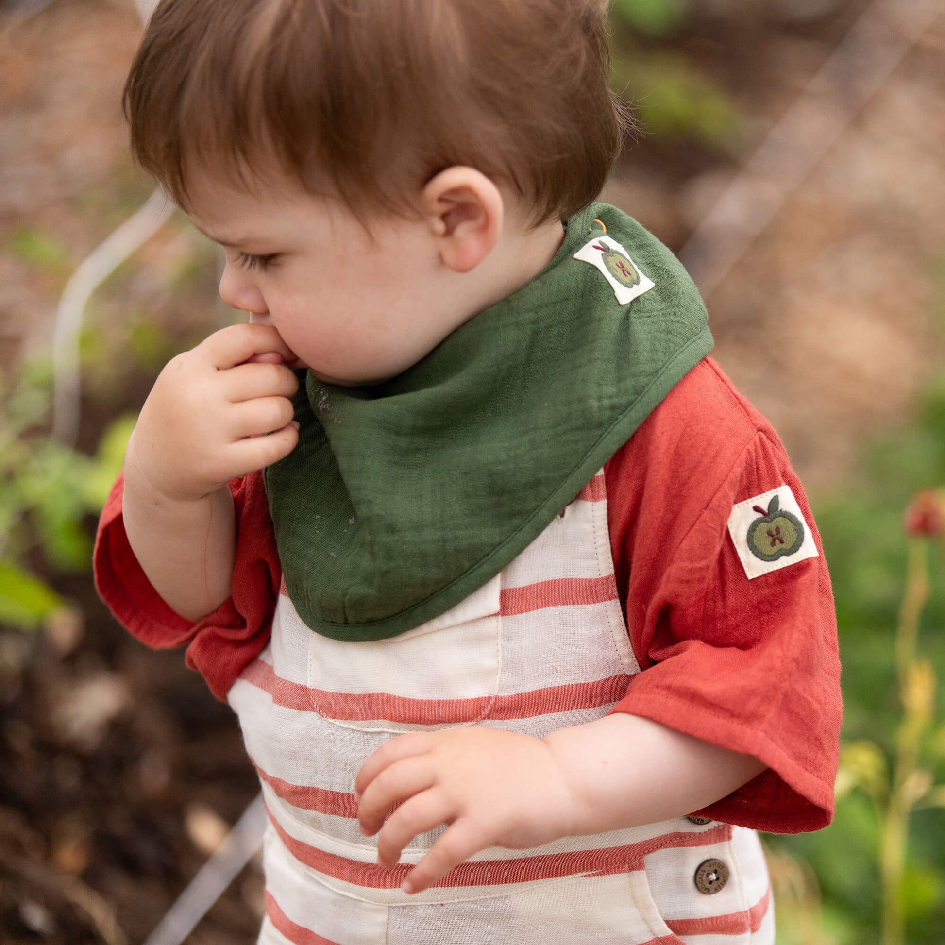 Blue Moon Organic Muslin Bib Set MULTI / one size