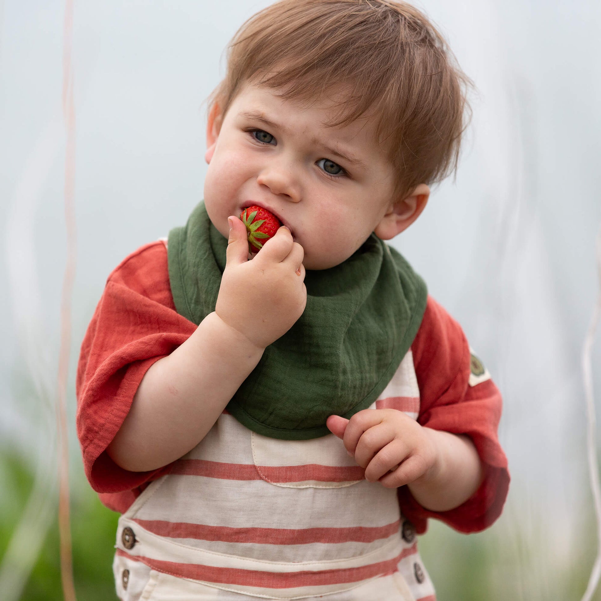 Blue Moon Organic Muslin Bib Set MULTI / one size