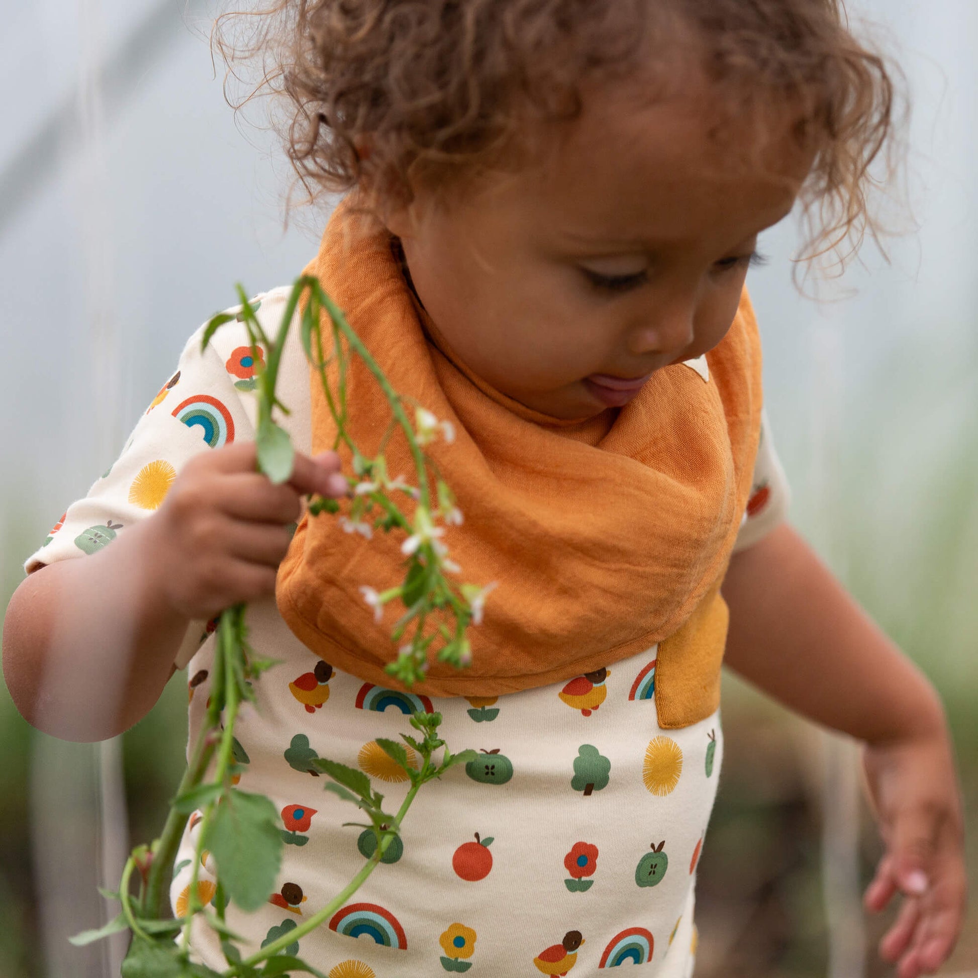 Coral Pink Organic Muslin Bib Set MULTI / one size
