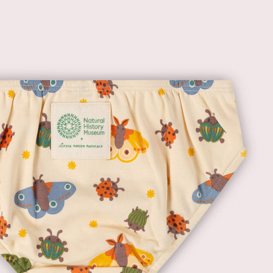 Cream Extraordinary Organic Underwear Set 3 Pack