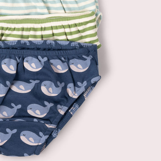 Singing Whales Organic Underwear Set 3 Pack Blue / 18-24m