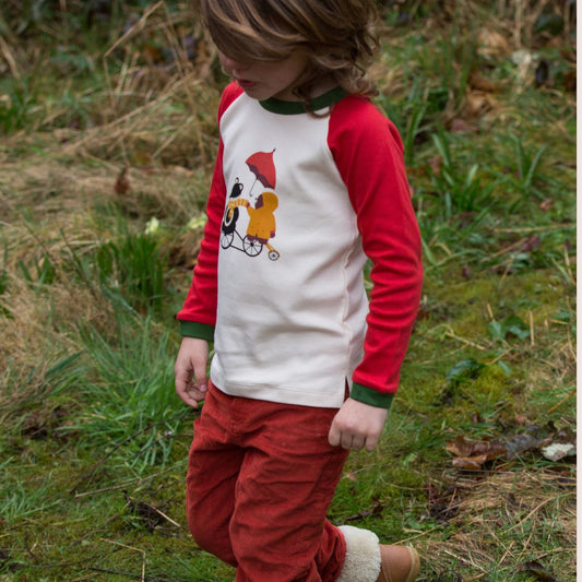 Windy Day Long Sleeve Raglan T-Shirt