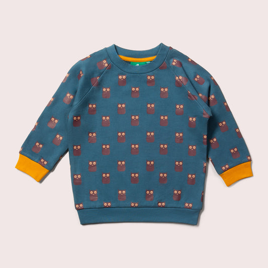 Twit Twoo Raglan Sweatshirt
