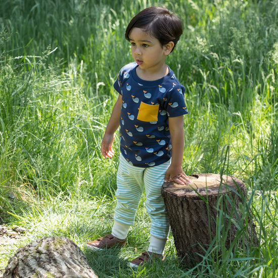 Little-Green-Radicals-Blue-T-Shirt-And-Jogger-Playset-With-Whale-Print-Kid