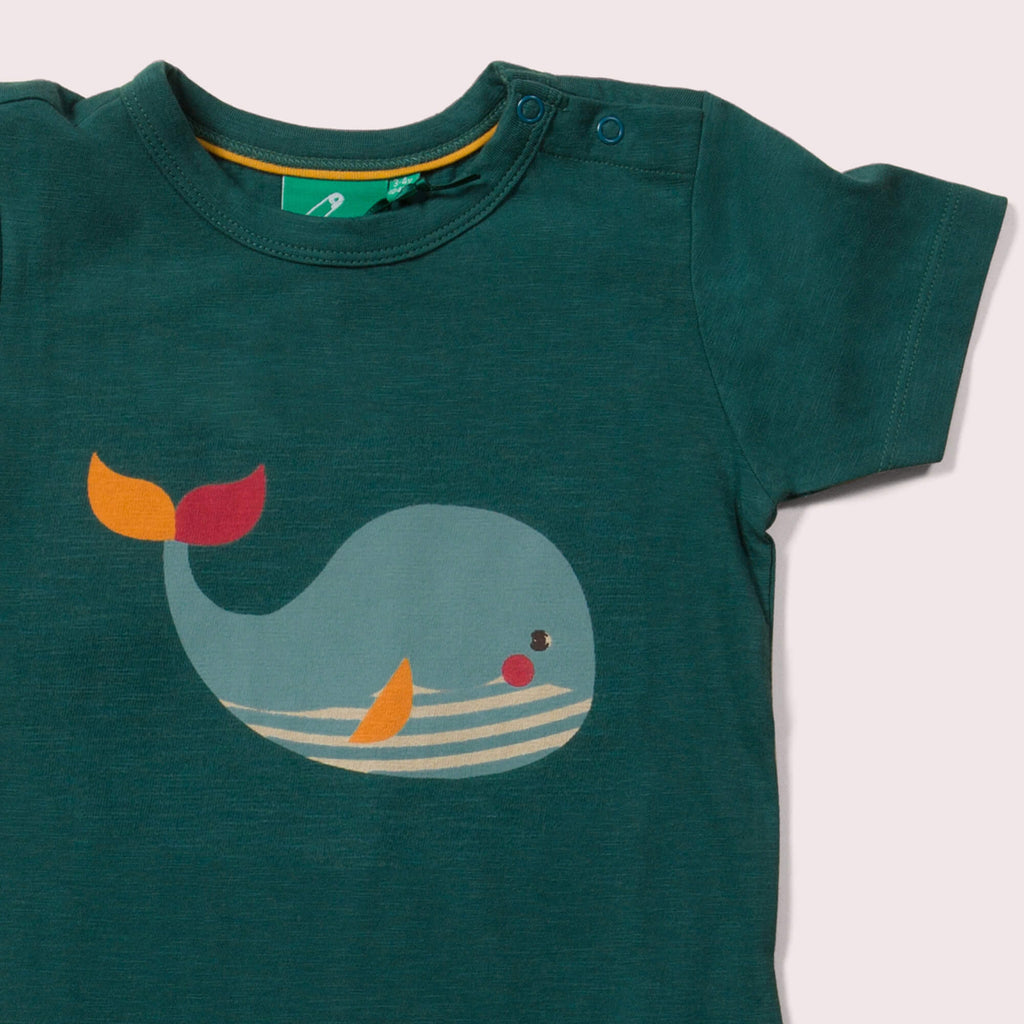Little-Green-Radicals-Green-And-Blue-Organic-Short-Sleeve-T-Shirt-With-Whale-Print-Closeup