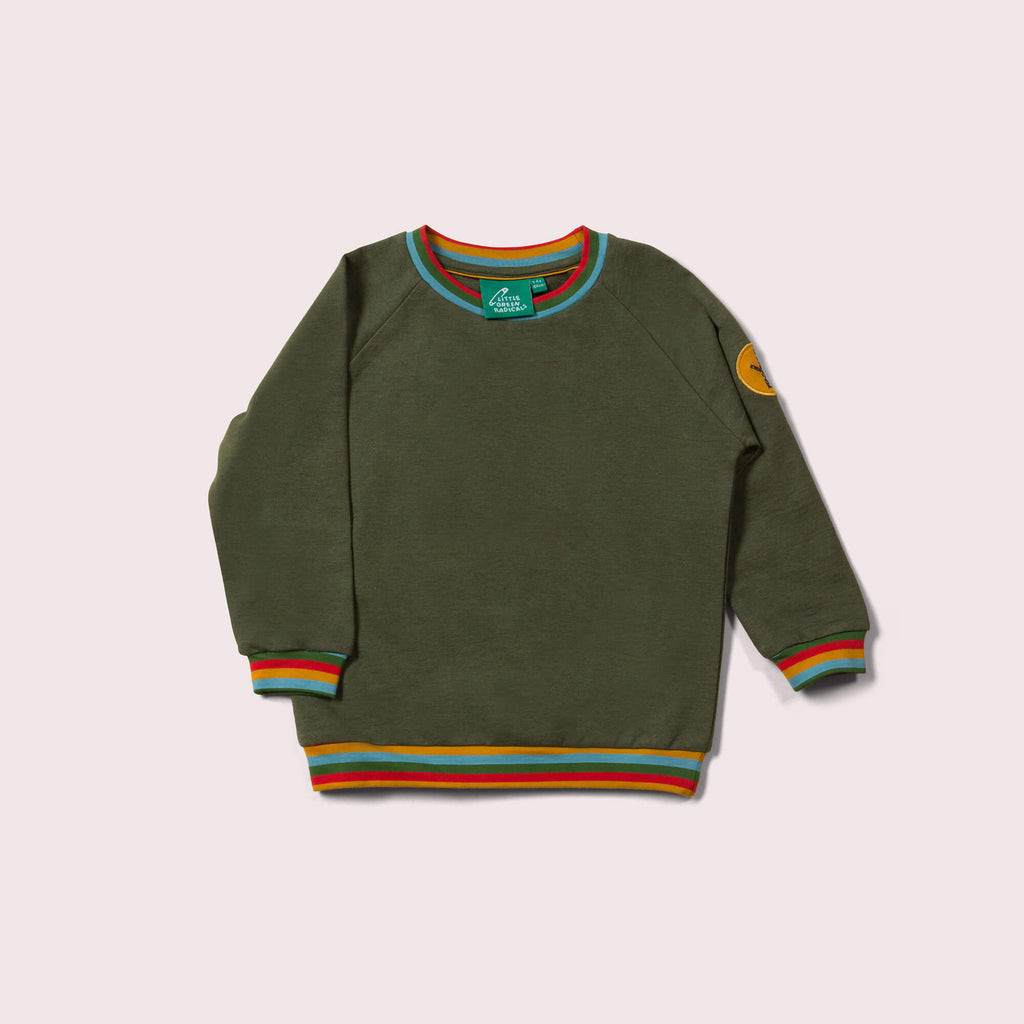 Little-Green-Radicals-Green-Marl-Sweatshirt-With-Rainbow-Pattern