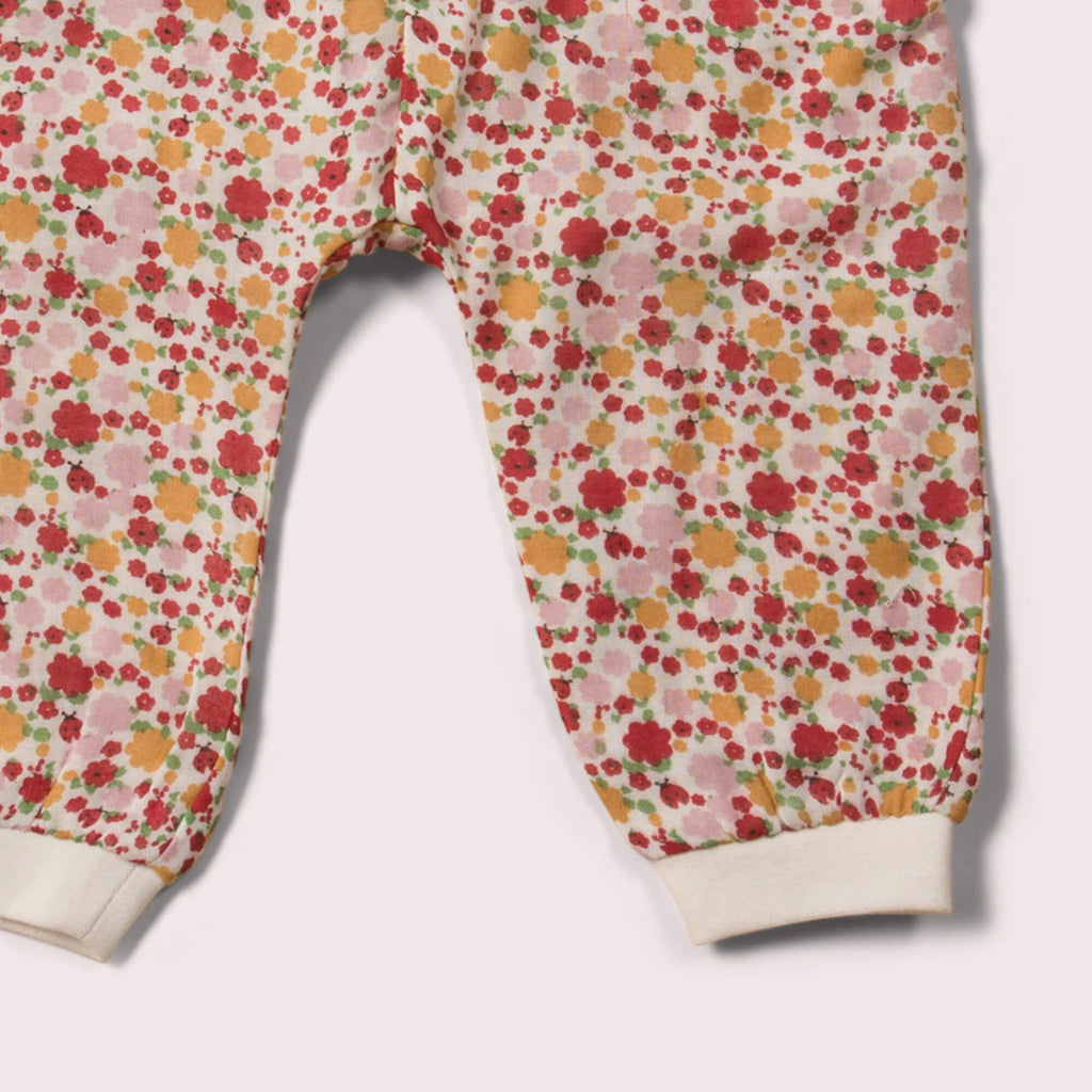 Little-Green-Radicals-Pink-And-Red-Jelly-Bean-Joggers-With-Ladybird-Print-Closeup-View