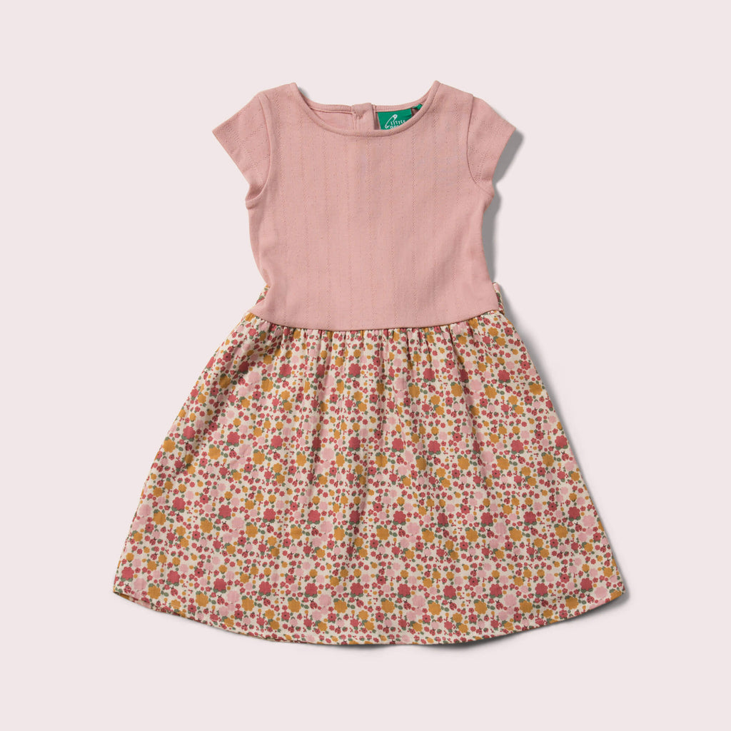 Little-Green-Radicals-Pink-Little-Twirler-Dress-With-Ladybird-Print
