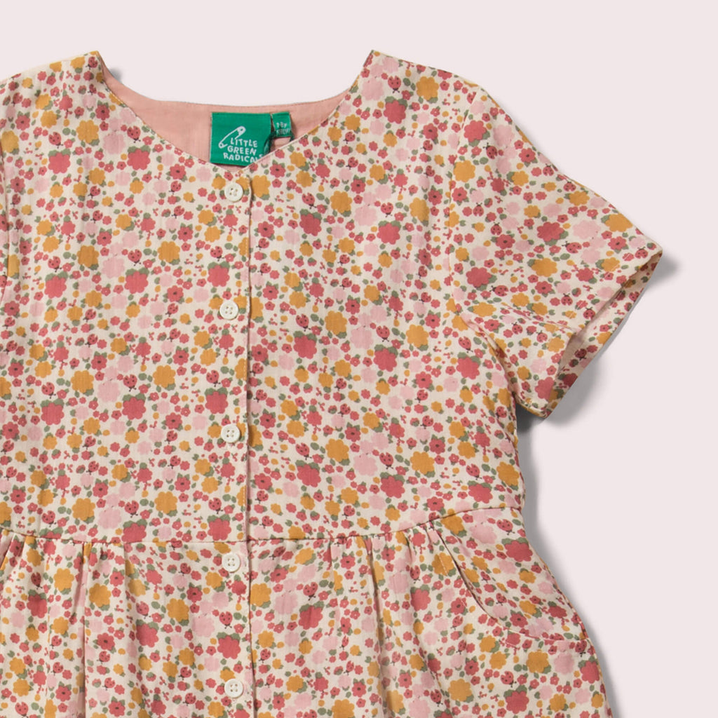 Little-Green-Radicals-Pink-Organic-Button-Dress-With-Ladybird-Print-Closeup