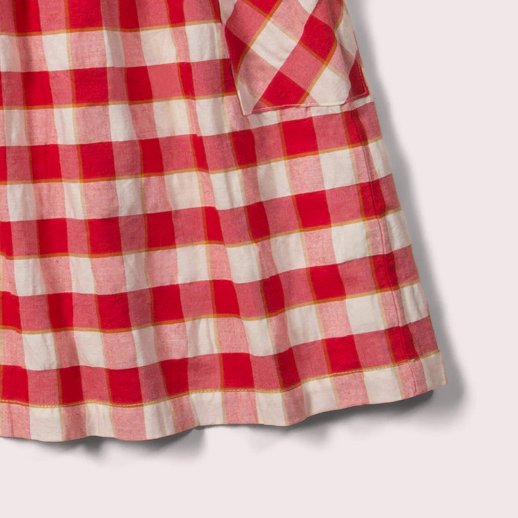 Little-Green-Radicals-Red-Check-Pinny-Dress-Closeup-View