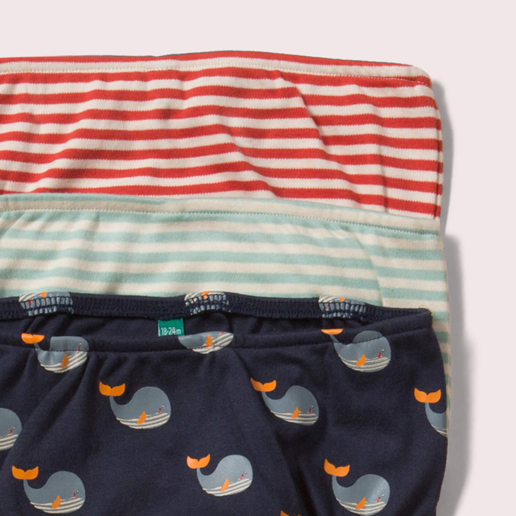 Little-Green-Radicals-Striped-Organic-Underwear-Set-3-Pack-With-Whale-Print-Closeup