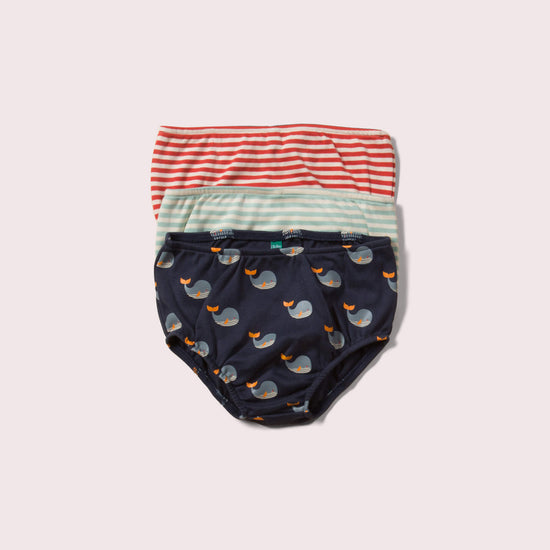 Little-Green-Radicals-Striped-Organic-Underwear-Set-3-Pack-With-Whale-Print