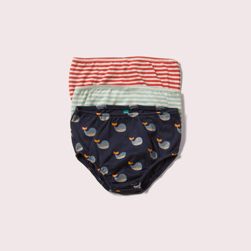 Little-Green-Radicals-Striped-Organic-Underwear-Set-3-Pack-With-Whale-Print