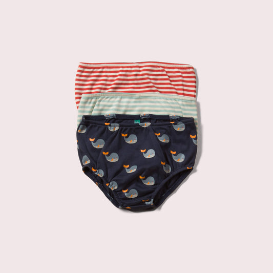 Little-Green-Radicals-Striped-Organic-Underwear-Set-3-Pack-With-Whale-Print