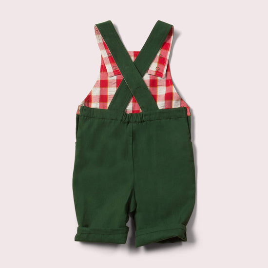 Little-Green-Radicals_Green-Shortie-Dungarees-Back